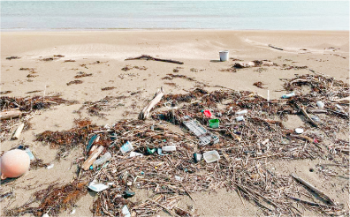 富山型エネルギーの地産地消を!